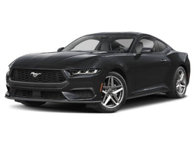 2025 Ford Mustang EcoBoost FASTBACK NITE PONY PKG